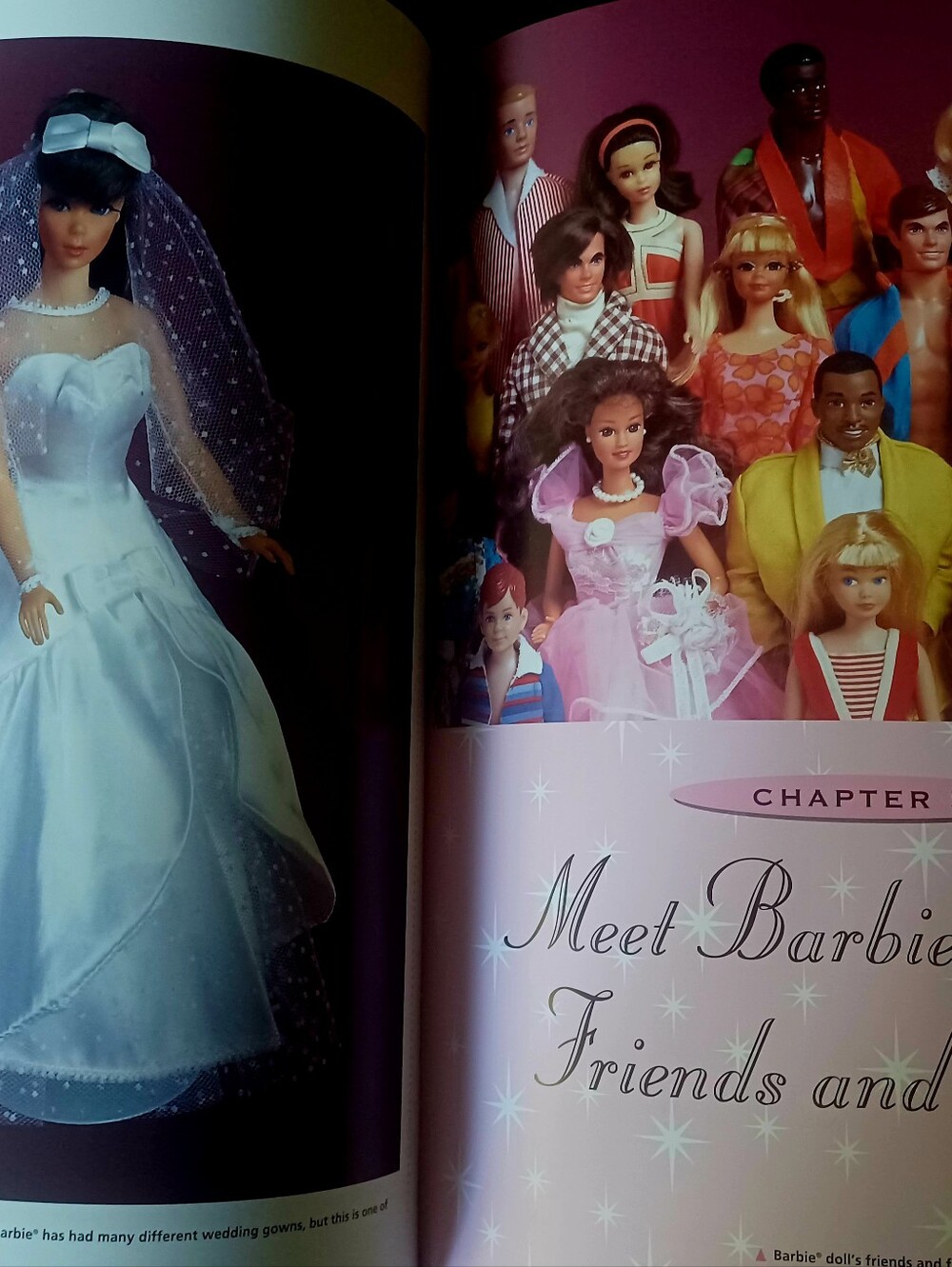 Vintage (99) Barbie Doll Collectible Book, HC, 2nd Edition, 9" X 13"  176 Pages - Picture 7 of 7